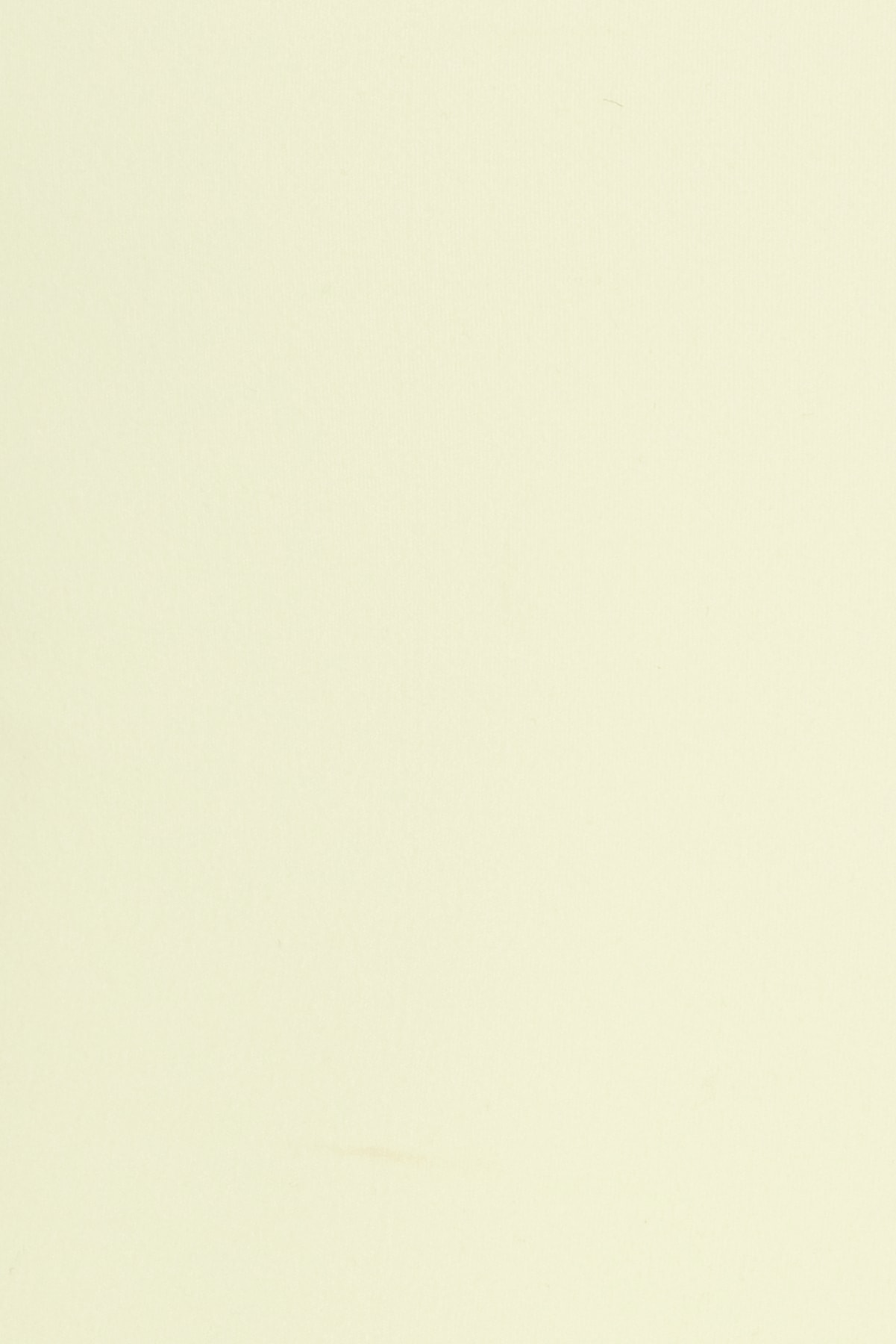100106446_8GM_alt3_1920x2880.jpg